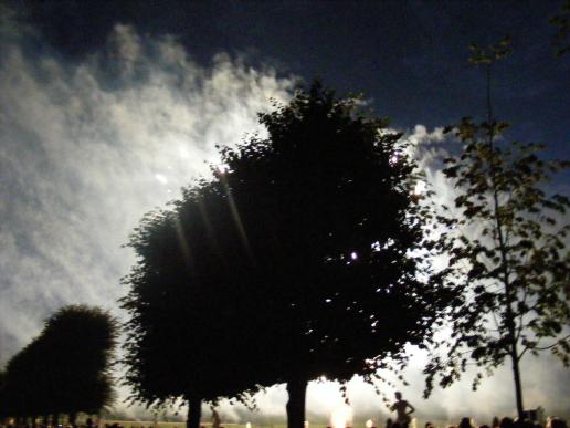 Feuerwerk in Hannover-Herrenhausen ... hinterm Baum versteckt